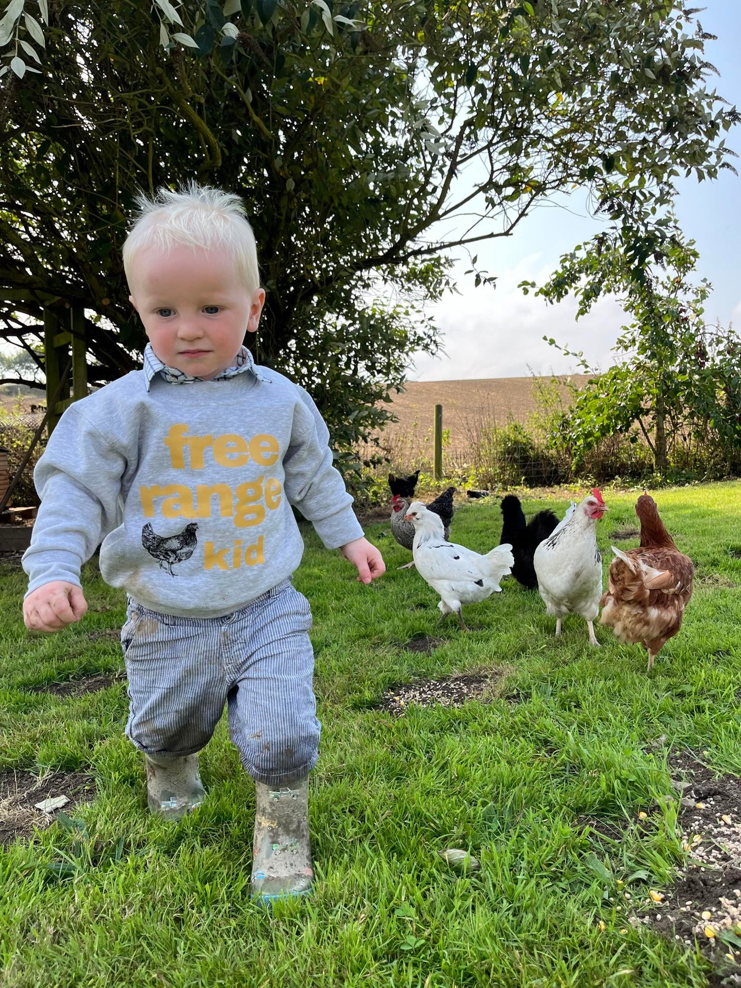 Sew Aneira Free Range Kid chicken Grey Sweatshirt