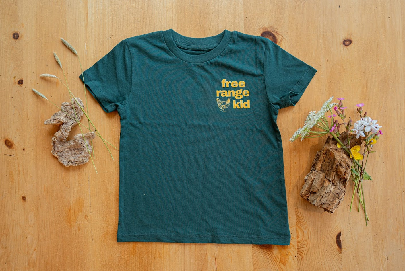 Free Range Kid organic cotton t shirt