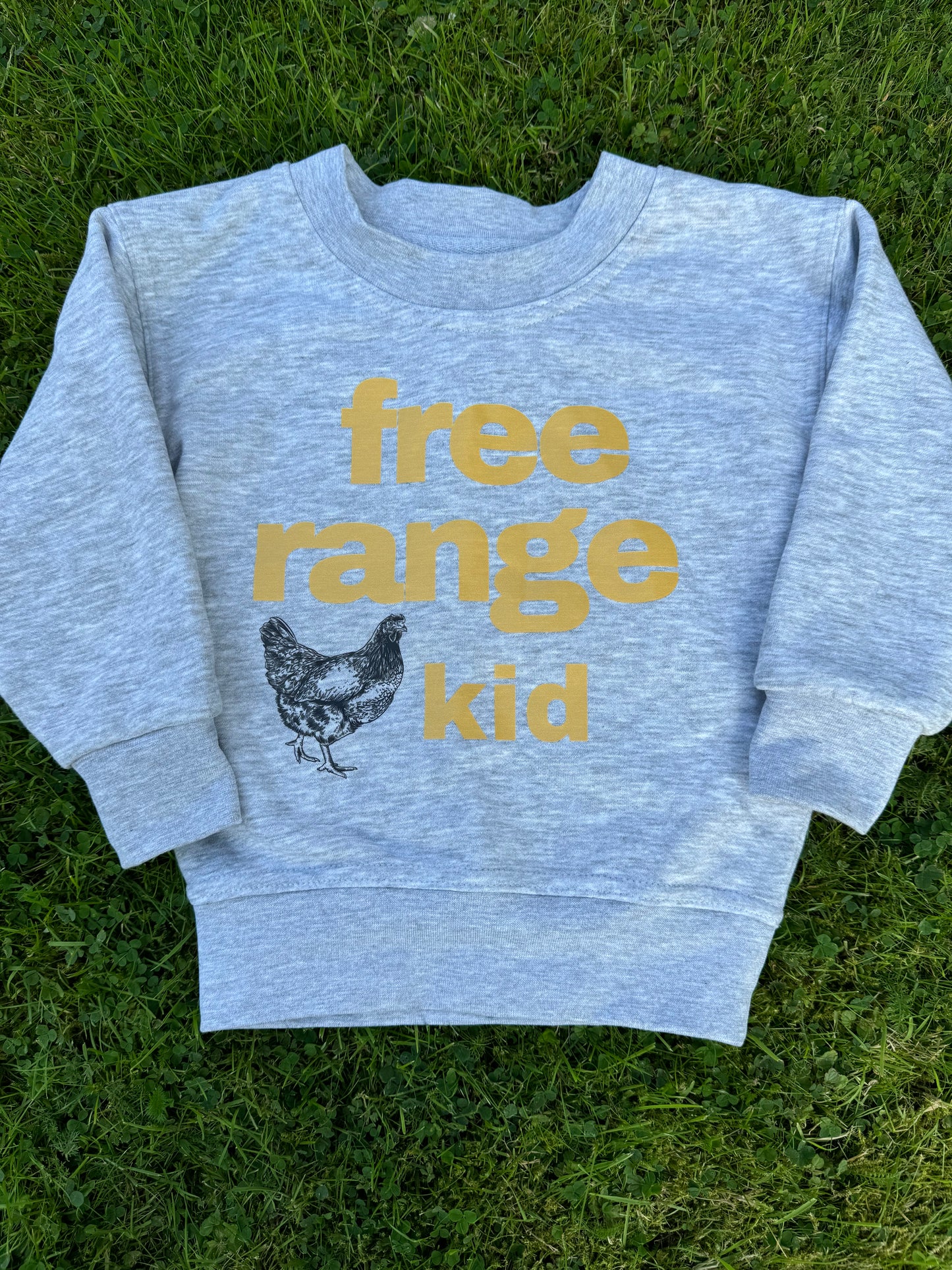 Sew Aneira Free Range Kid chicken Grey Sweatshirt