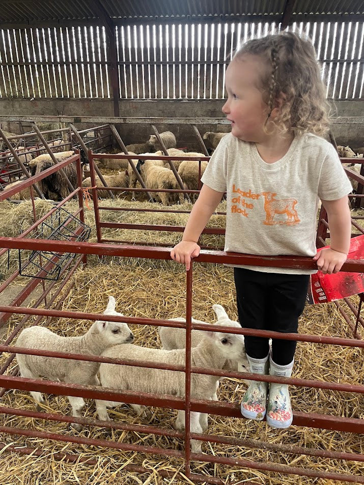 Lamb organic cotton kids t shirt
