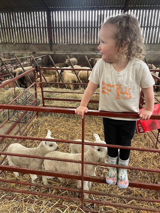 Lamb organic cotton kids t shirt