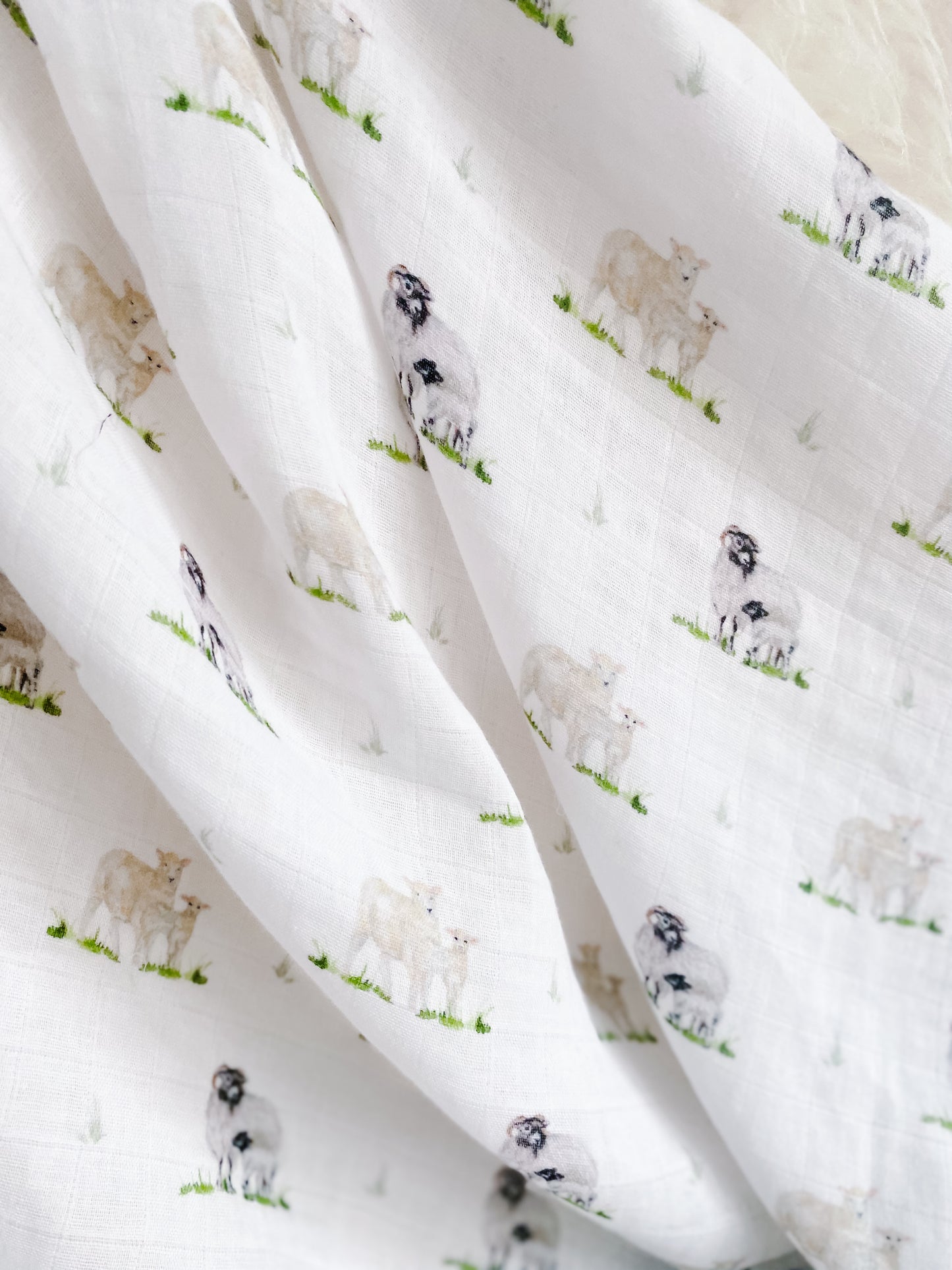 Little Stamford Co Sheep Muslin Shawl