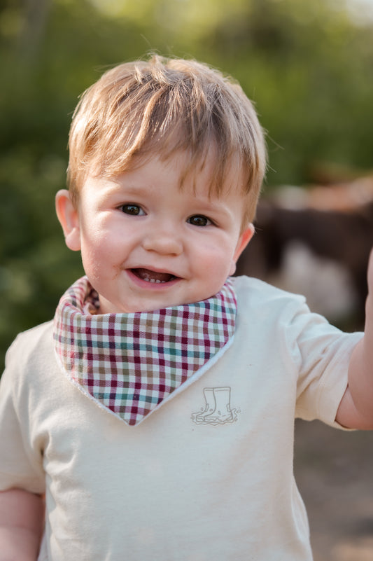 Legacy Check Baby Bibs