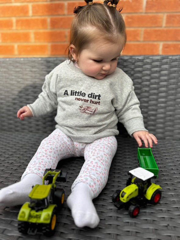 Sew Aneira A Little Dirt Never Hurt Grey Sweatshirt