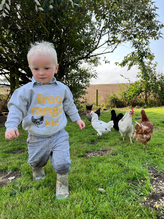 Sew Aneira Free Range Kid chicken Grey Sweatshirt