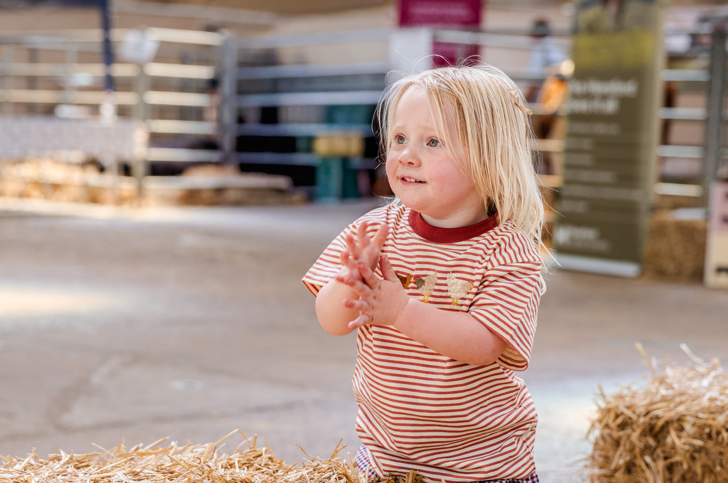 Striped Chicken Embroidered Organic Cotton Kids T-Shirt