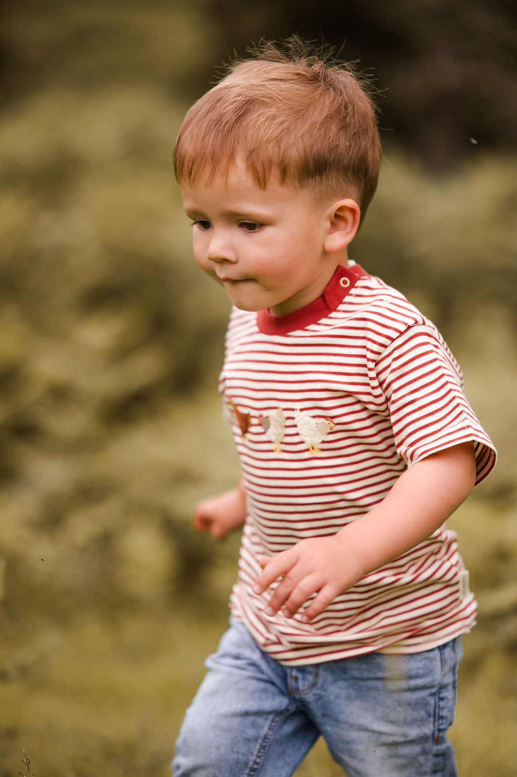 Striped Chicken Embroidered Organic Cotton Kids T-Shirt
