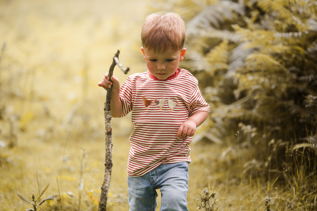 Striped Chicken Embroidered Organic Cotton Kids T-Shirt