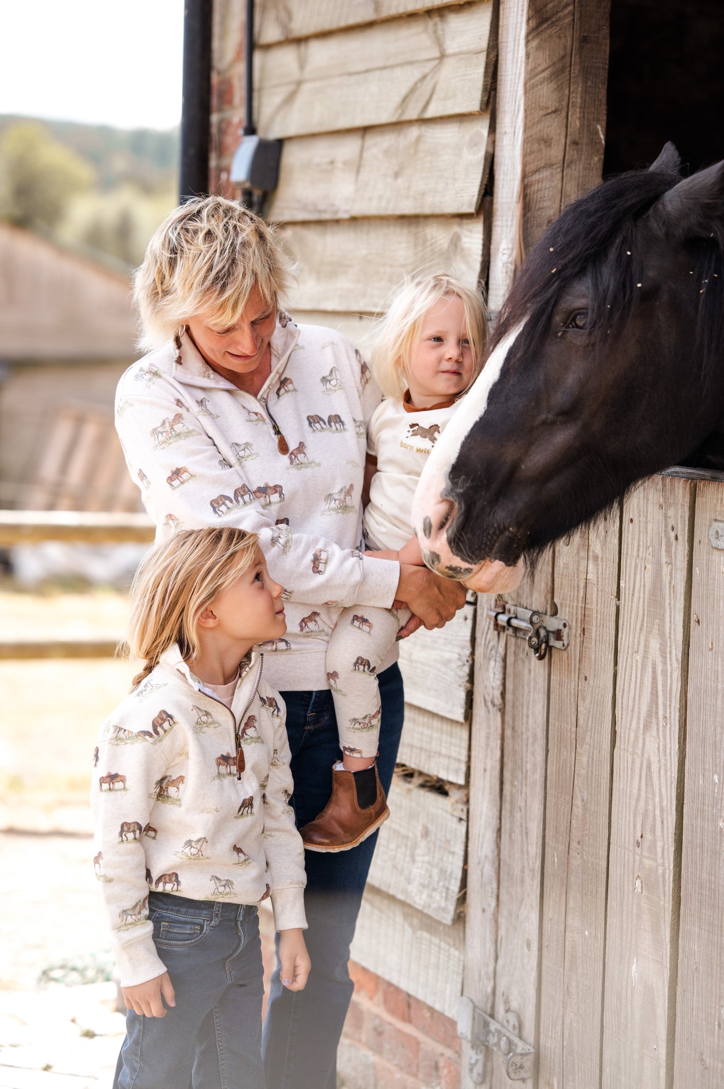 Pony Quarter Zips Adults