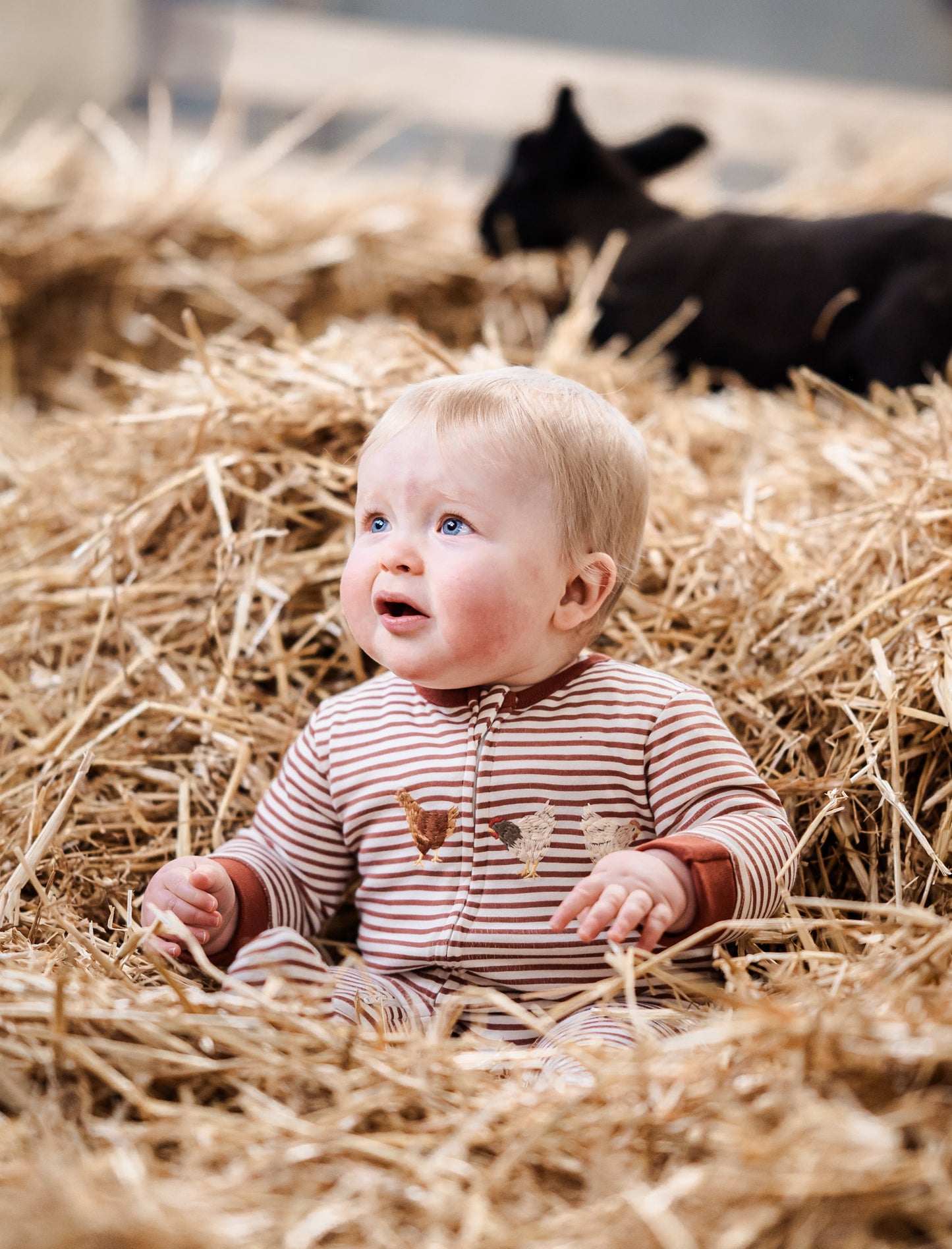 Organic Cotton Striped Chicken Sleepsuit