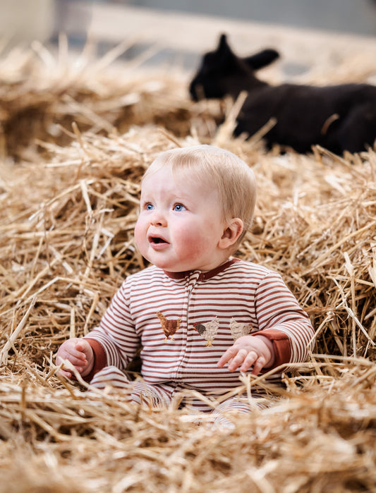 Organic Cotton Striped Chicken Sleepsuit