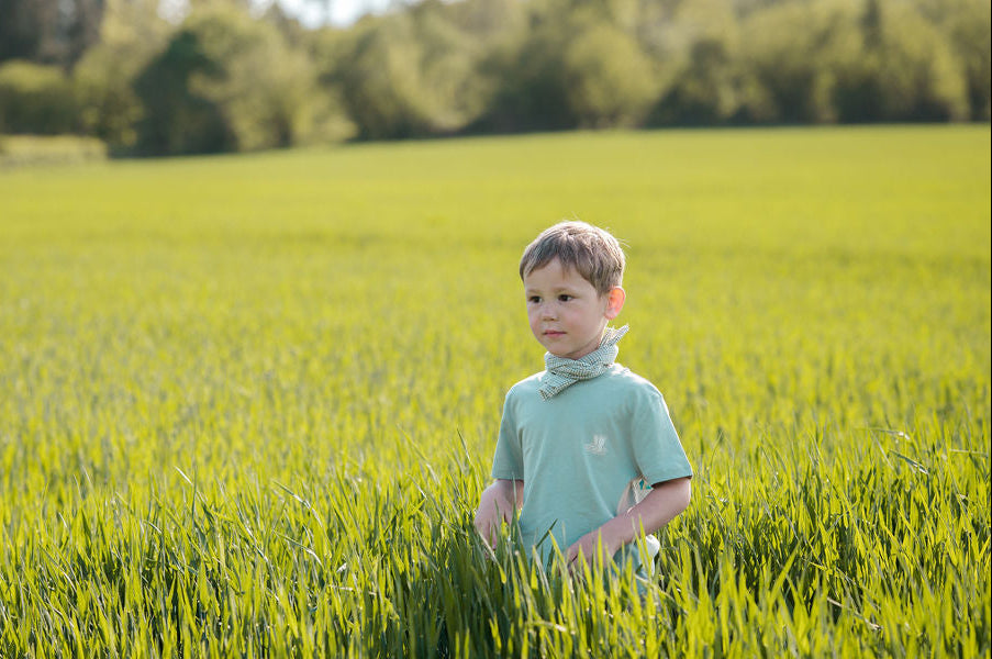 Wellies organic cotton tee