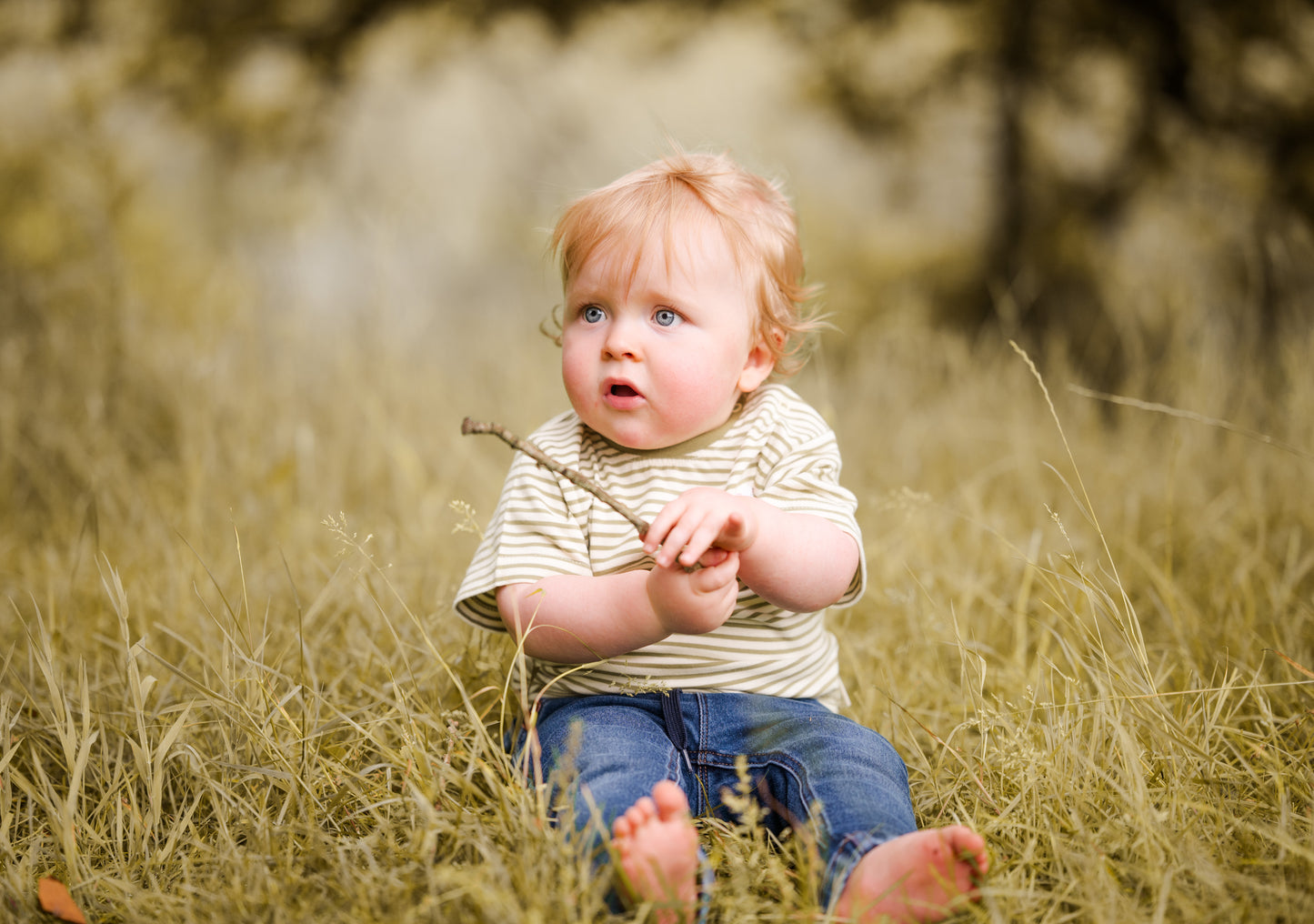 Striped Lamb Organic cotton Emb Tee