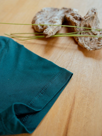 Free Range Kid organic cotton t shirt