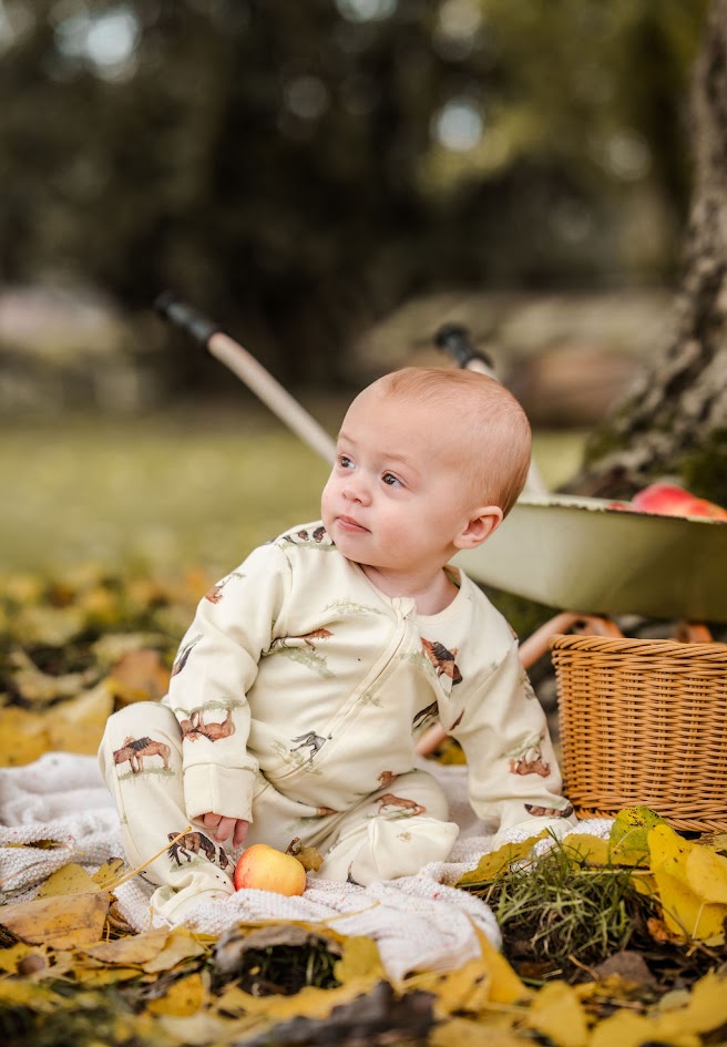 Sew Aneira Pony Organic cotton Baby Sleepsuit
