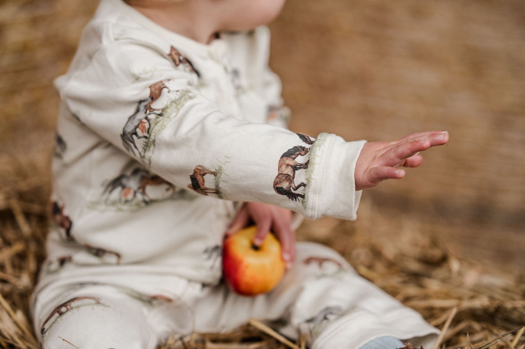 Sew Aneira Pony Organic cotton Baby Sleepsuit
