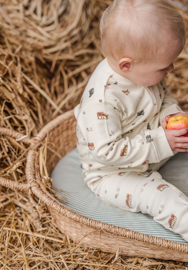 Sew Aneira 4x4 Organic Cotton Baby Sleepsuit