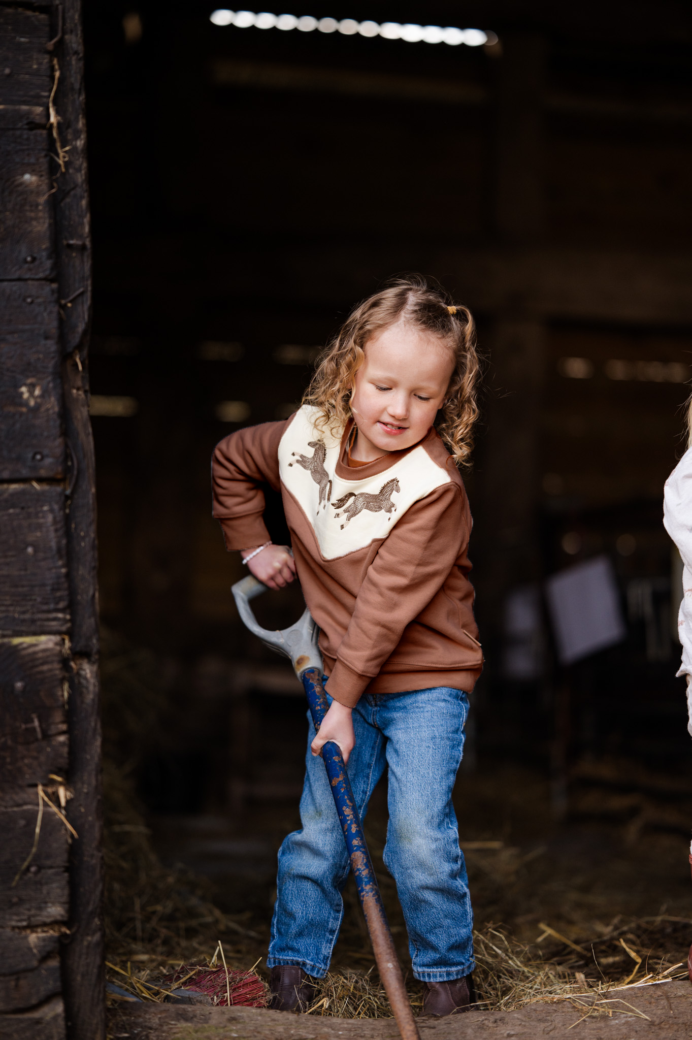 Pony Embroidered Organic Cotton Sweatshirt Russet
