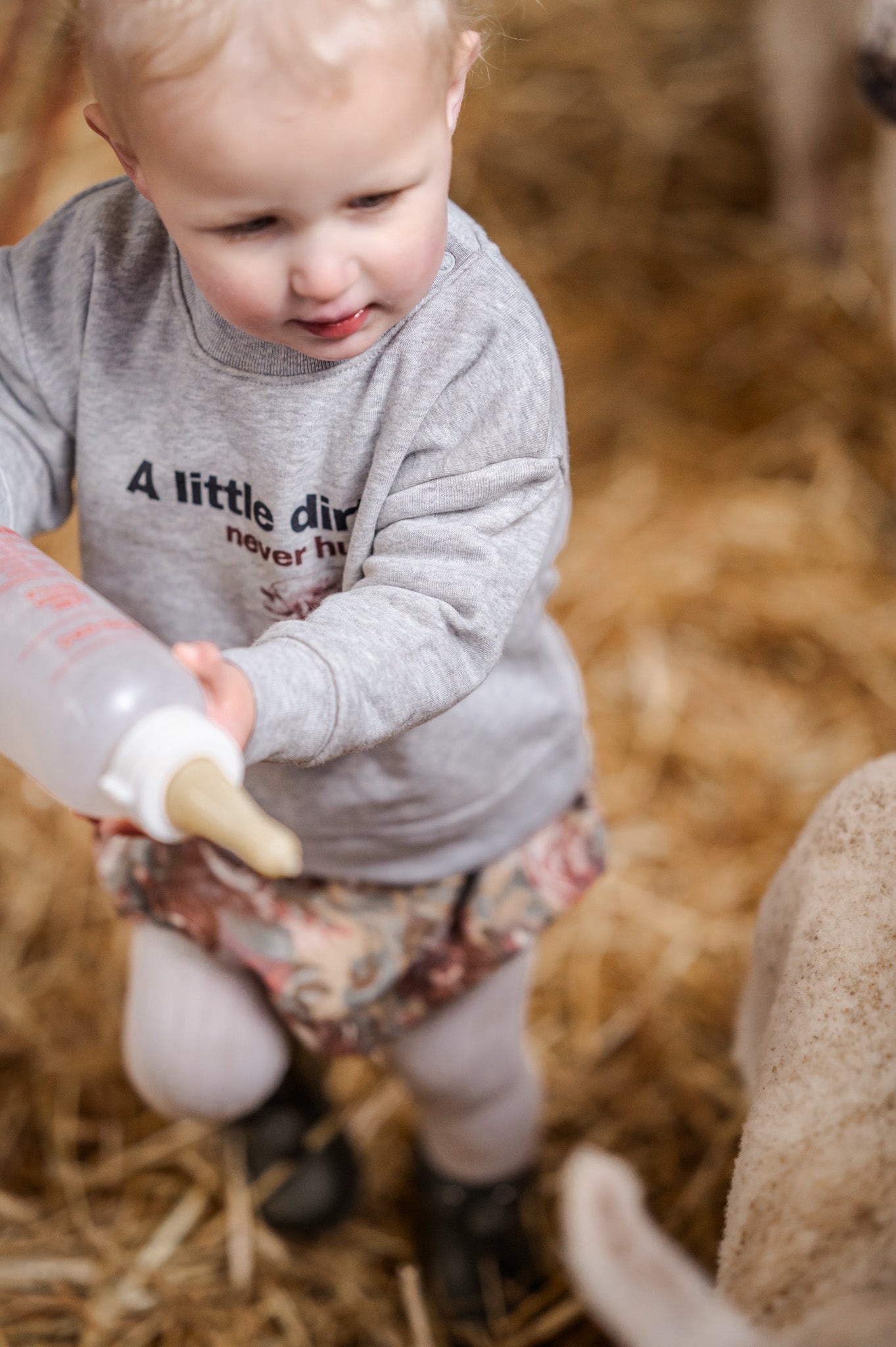 Organic cotton A Little Dirt Never Hurt Grey Sweatshirt