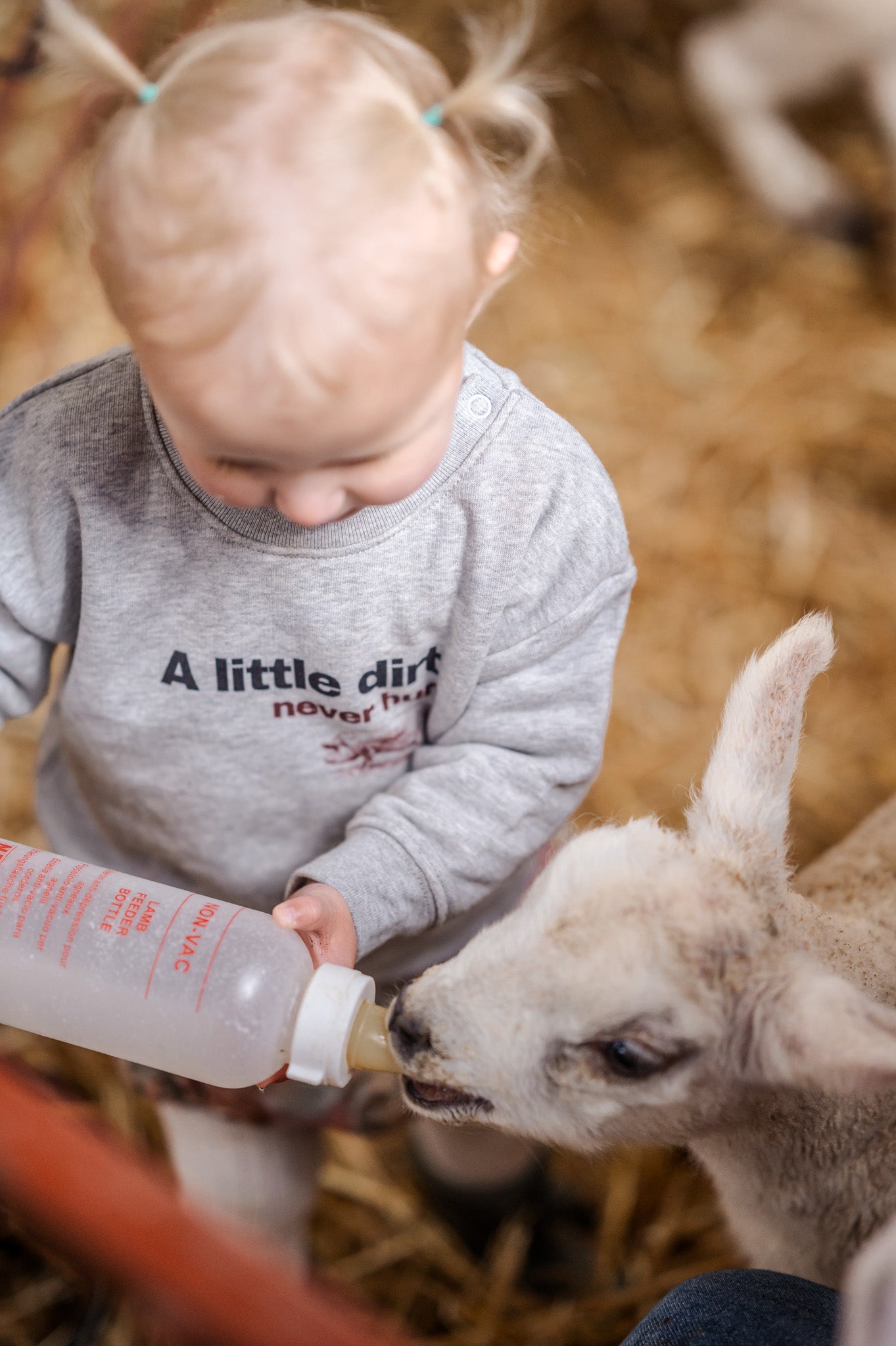 Organic cotton A Little Dirt Never Hurt Grey Sweatshirt