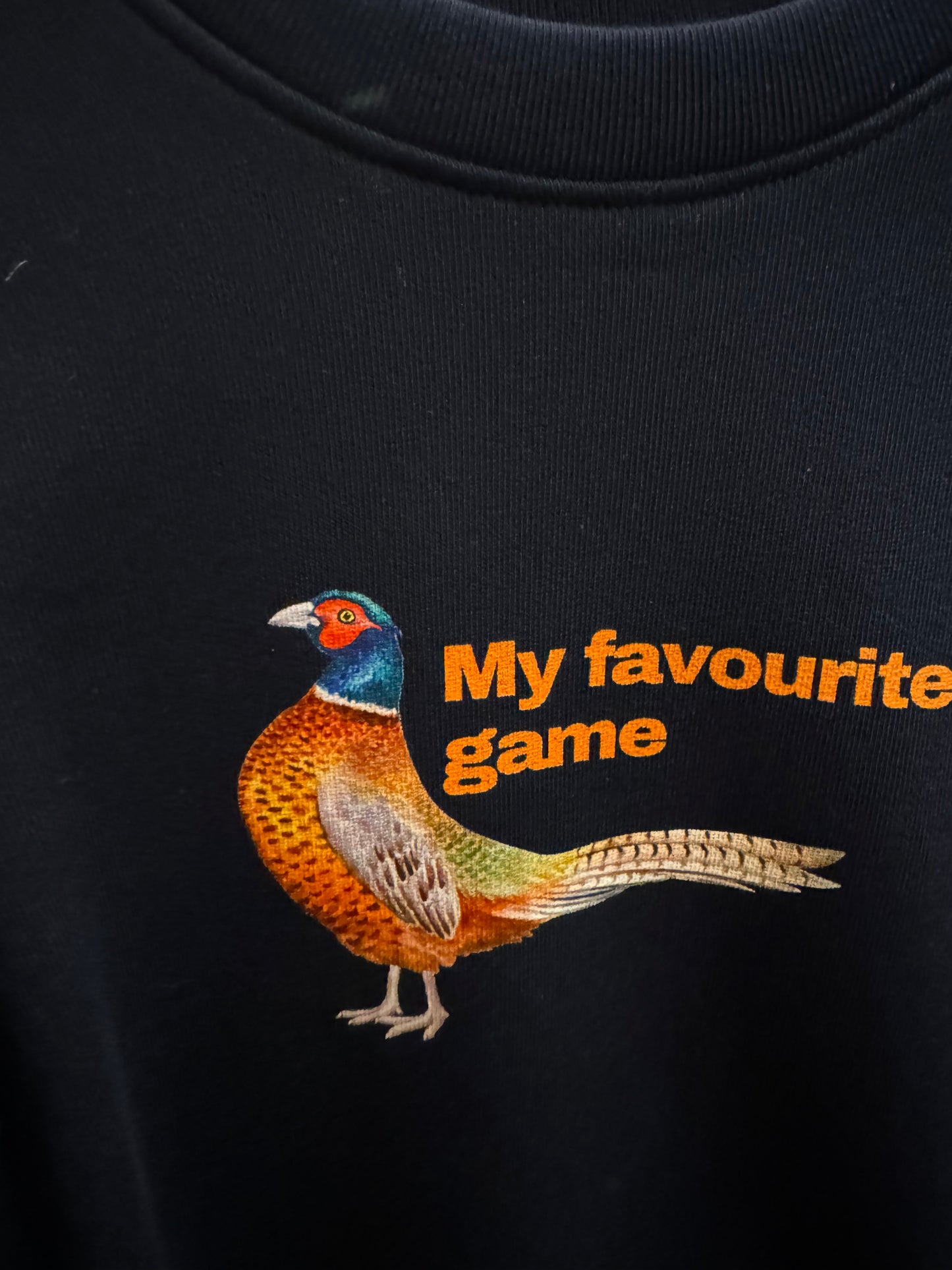 Sew Aneira Adults Quarter Zip Pheasant Sweatshirt