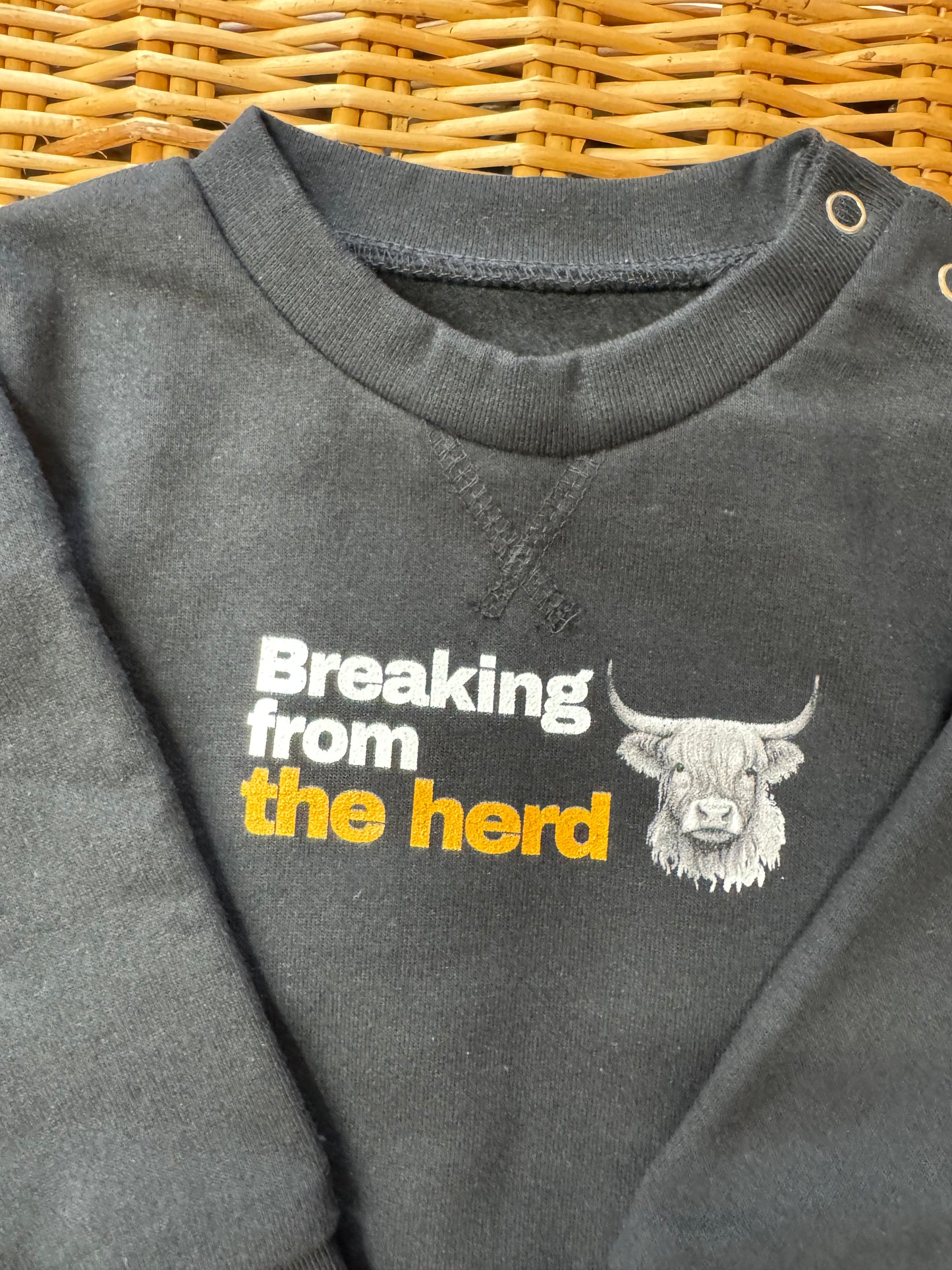 Baby Highland Cow Herd Sweatshirt