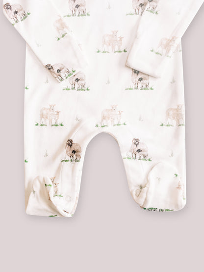 Little Stamford Co Sheep Sleepsuit