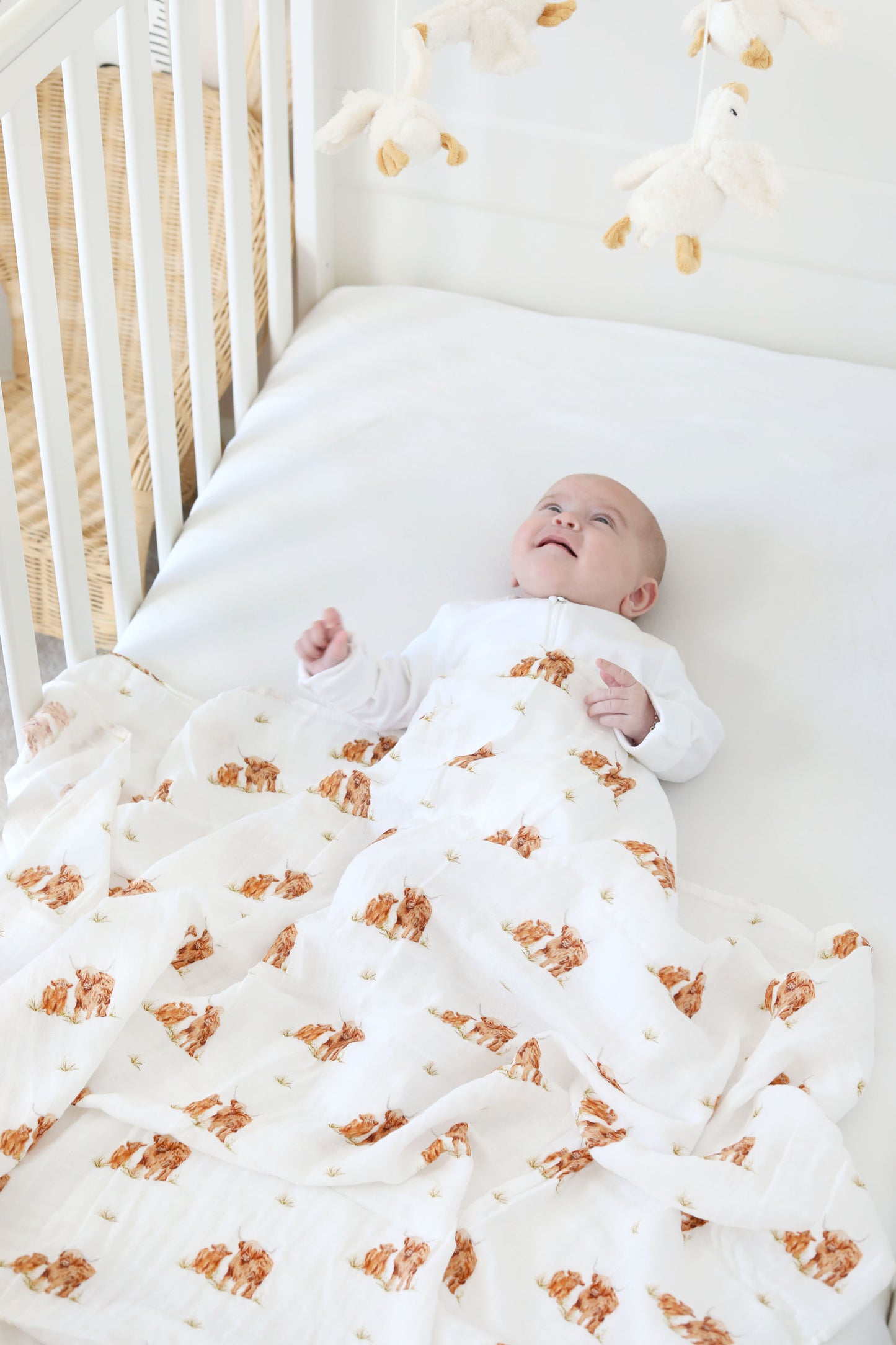 Little Stamford Co Baby Highland Cow Muslin Swaddle
